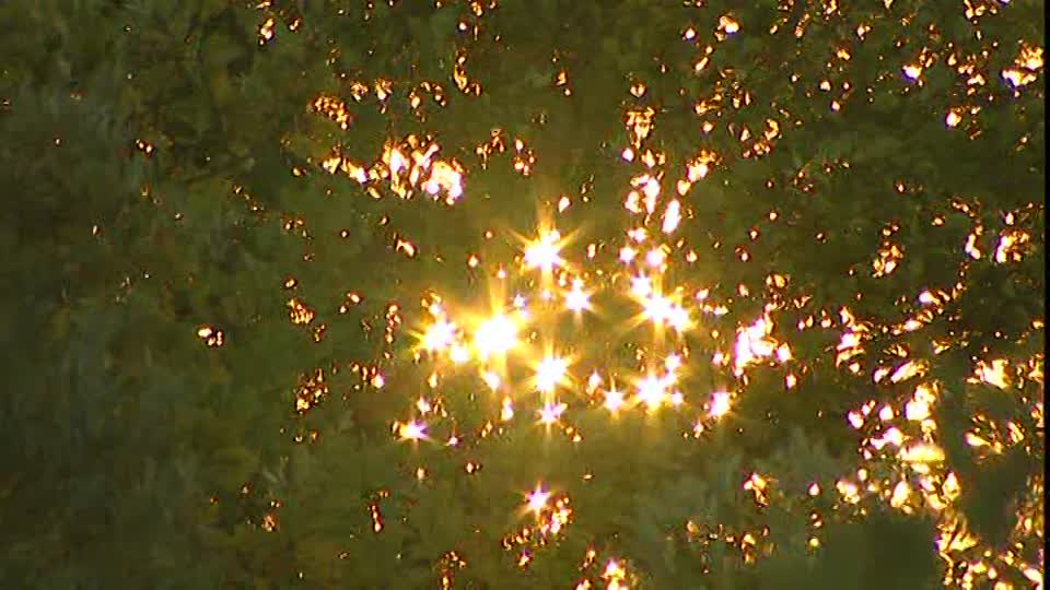 190117324-stella-forma-riflesso-di-luce-scintillare-brezza